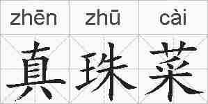 真珠菜的拼音
