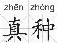 真种的拼音