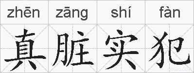 真脏实犯的拼音
