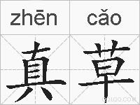 真草的拼音