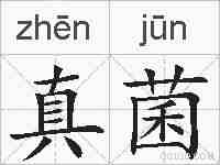 真菌的拼音