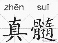 真髓的拼音