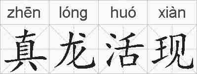 真龙活现的拼音