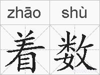 着数的拼音