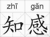 知感的拼音