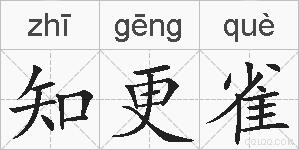 知更雀的拼音