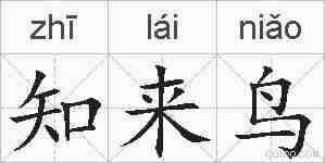 知来鸟的拼音