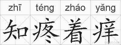 知疼着痒的拼音