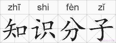 知识分子的拼音