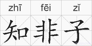 知非子的拼音