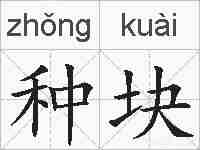 种块的拼音