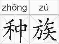 种族的拼音