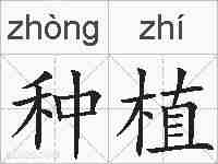 种植的拼音