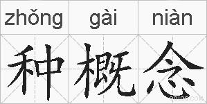 种概念的拼音