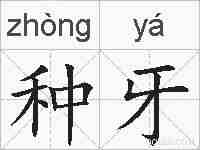 种牙的拼音