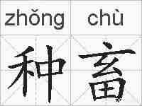 种畜的拼音