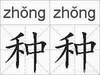 种种的拼音