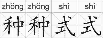 种种式式的拼音