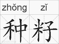 种籽的拼音