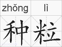 种粒的拼音