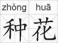 种花的拼音