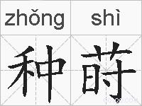 种莳的拼音