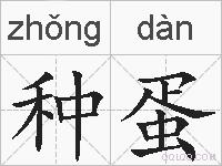 种蛋的拼音