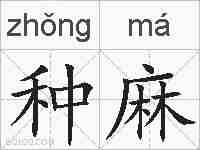种麻的拼音