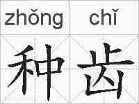 种齿的拼音