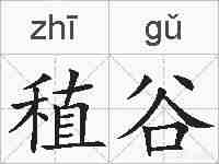稙谷的拼音
