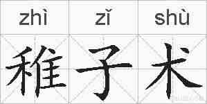 稚子术的拼音