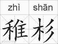 稚杉的拼音