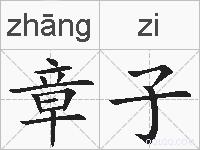 章子的拼音