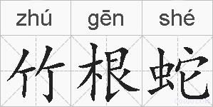 竹根蛇的拼音