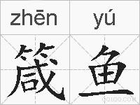 箴鱼的拼音