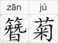 簪菊的拼音