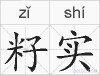 籽实的拼音