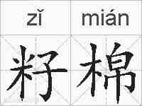 籽棉的拼音