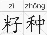 籽种的拼音