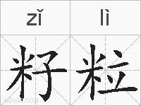 籽粒的拼音