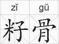 籽骨的拼音