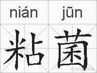 粘菌的拼音
