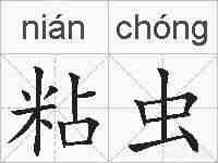 粘虫的拼音