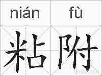 粘附的拼音