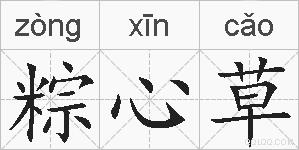 粽心草的拼音
