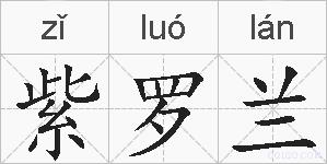 紫罗兰的拼音