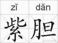 紫胆的拼音