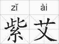 紫艾的拼音