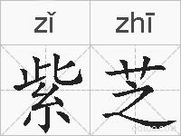 紫芝的拼音