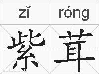 紫茸的拼音